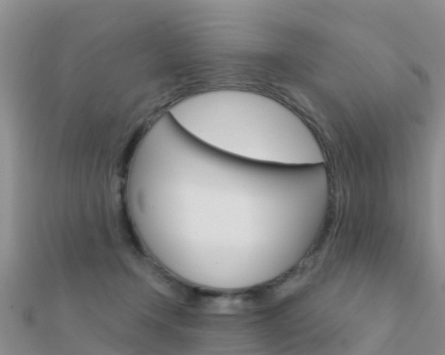 X0000112430366200908141116