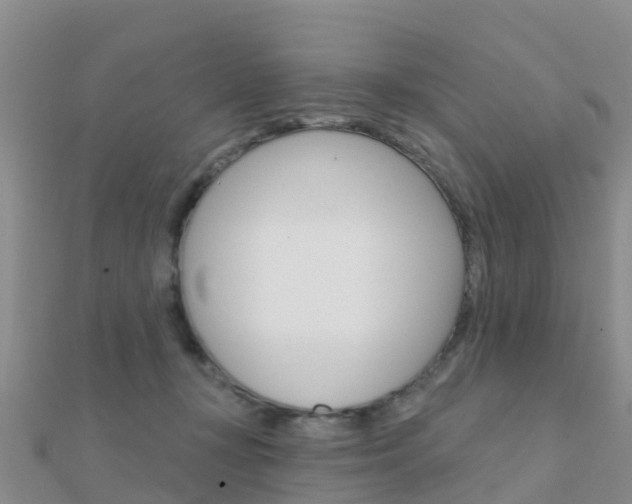 X0000112430367200908141116