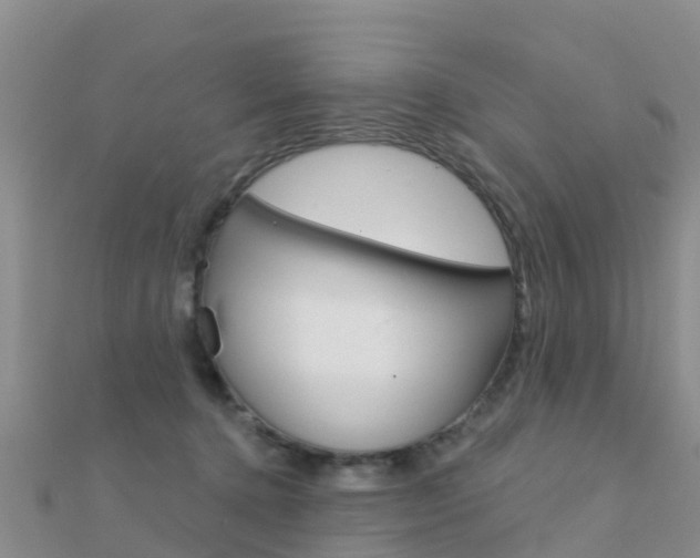 X0000112430368200908141116