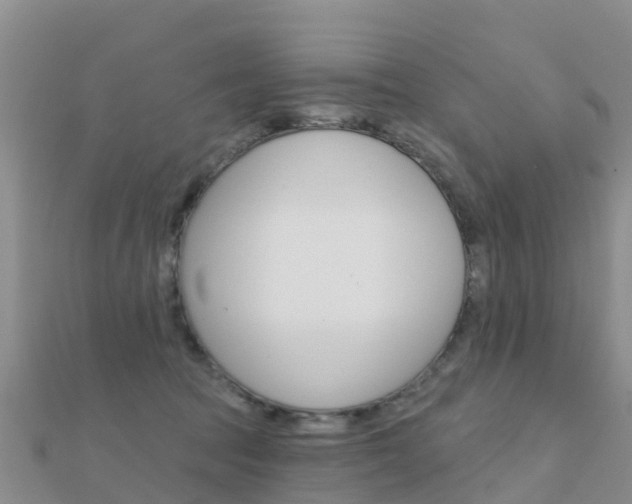 X0000112430369200908141116