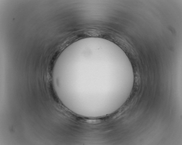 X0000112430371200908141116