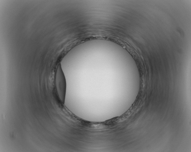 X0000112430376200908141117
