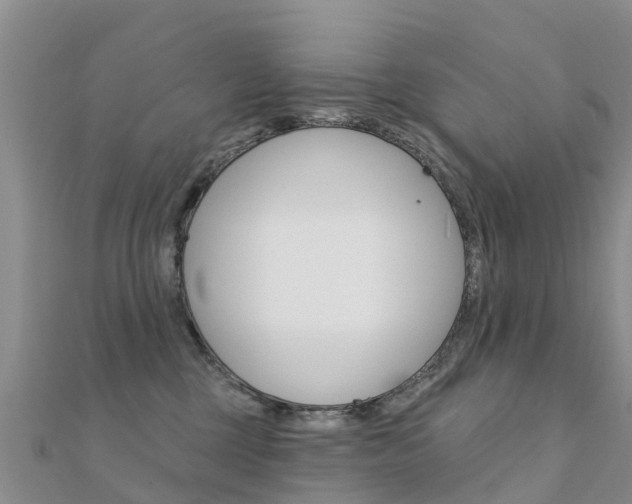 X0000112430377200908141117
