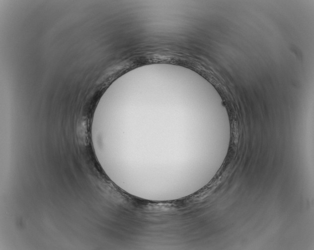 X0000112430378200908141117