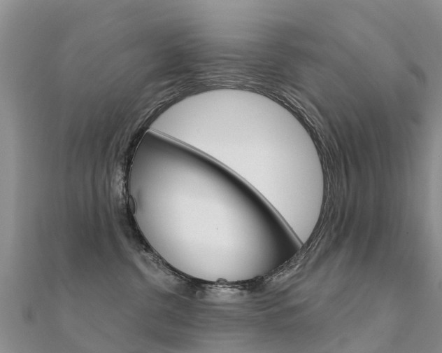 X0000112430380200908141117