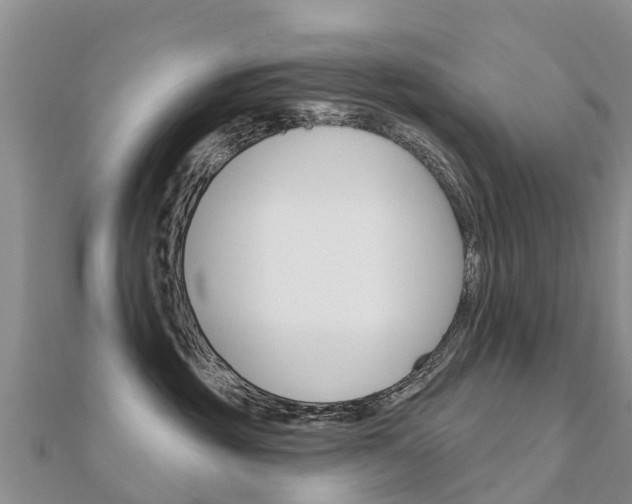 X0000112430381200908141117