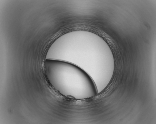X0000112430382200908141117