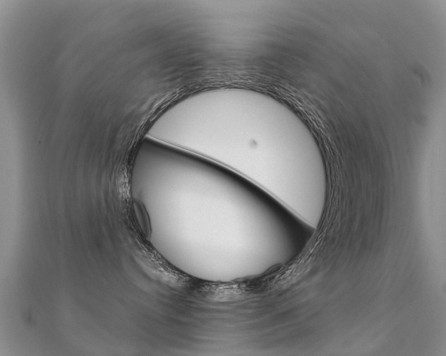 X0000112430384200908141117