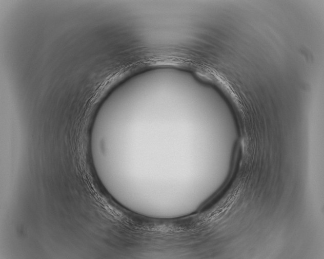X0000112430385200908141116