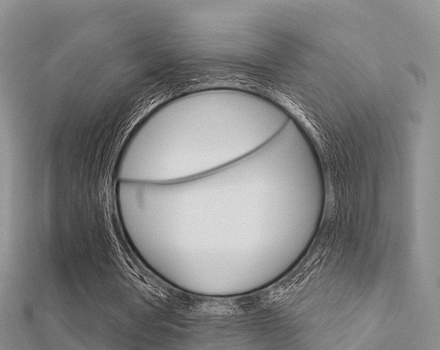 X0000112430386200908141116