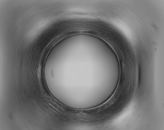 X0000112430387200908141116