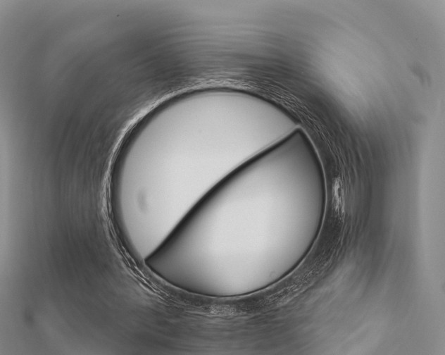 X0000112430388200908141116