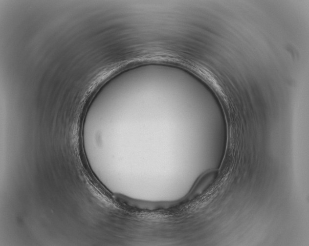 X0000112430389200908141116