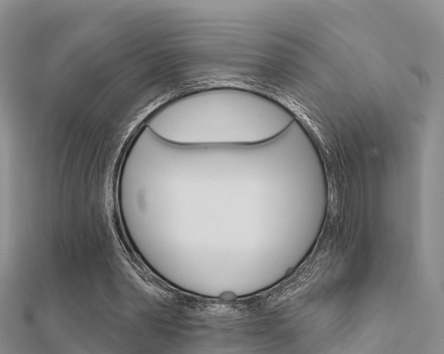 X0000112430390200908141116