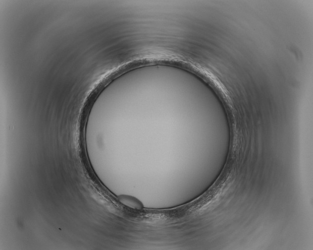 X0000112430391200908141116