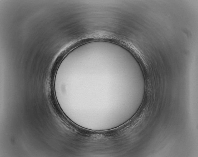 X0000112430392200908141116