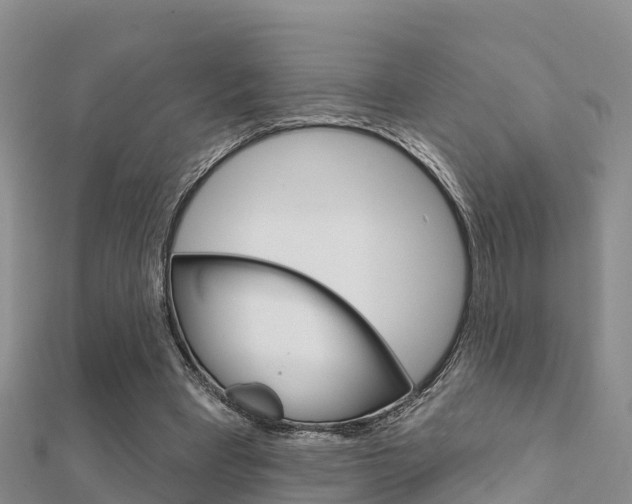 X0000112430393200908141116