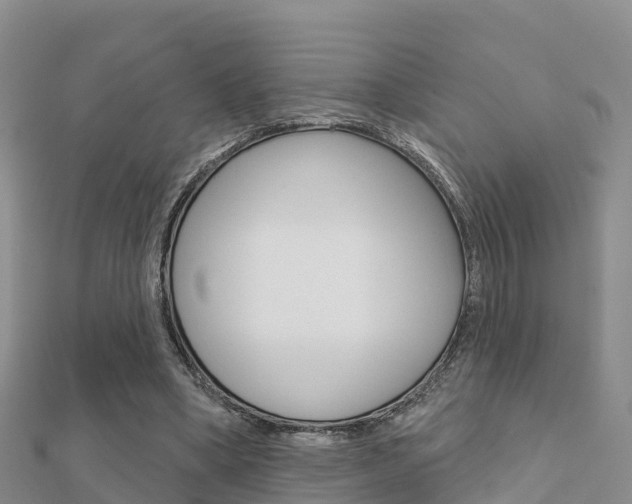 X0000112430394200908141116
