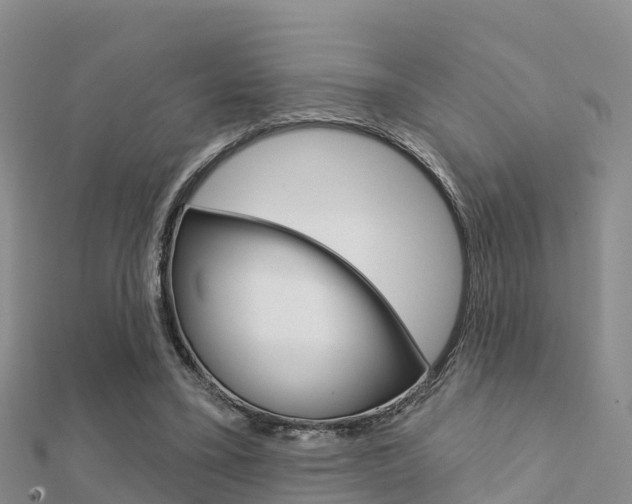 X0000112430395200908141116
