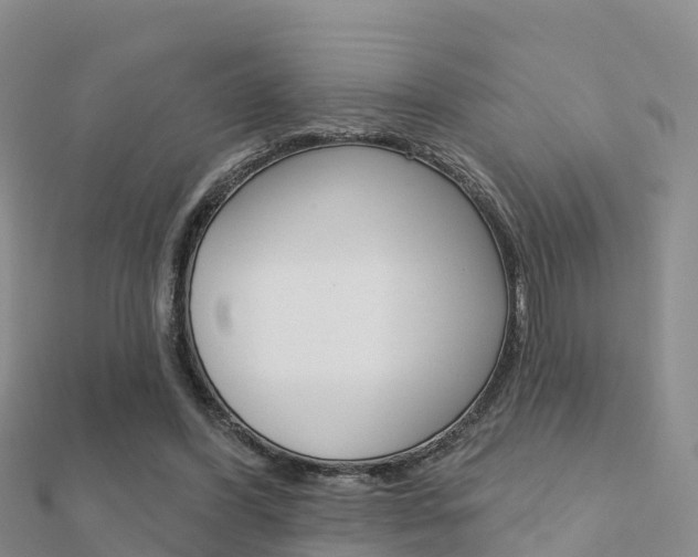 X0000112430396200908141116