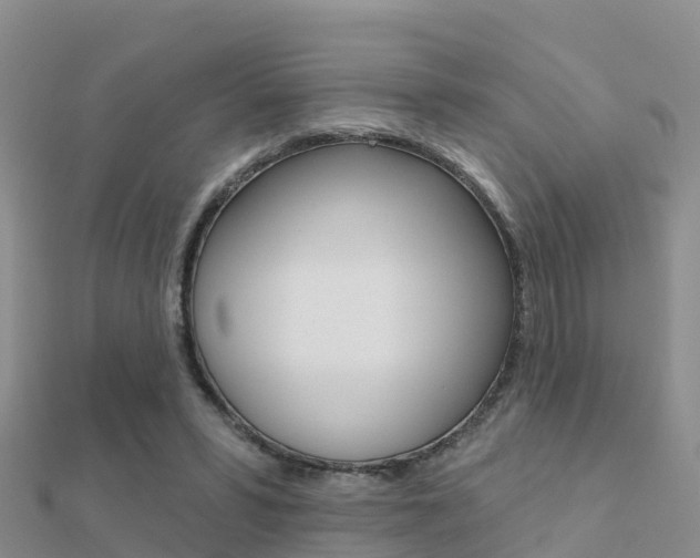 X0000112430399200908141116