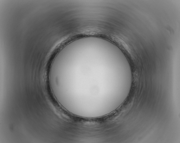 X0000112430400200908141116