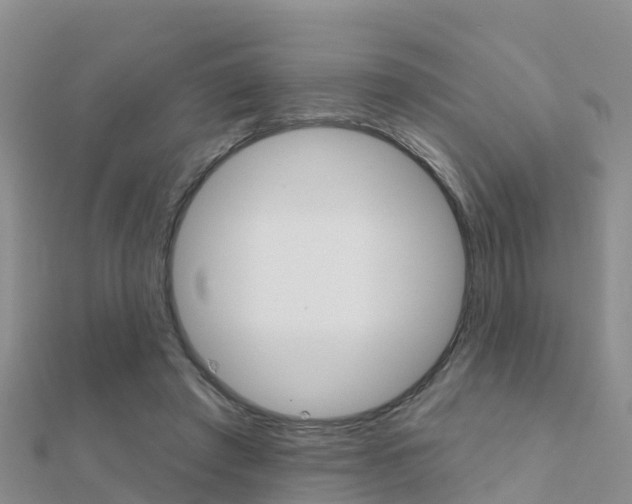 X0000112430401200908141116
