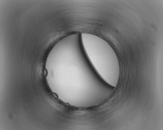 X0000112430404200908141116