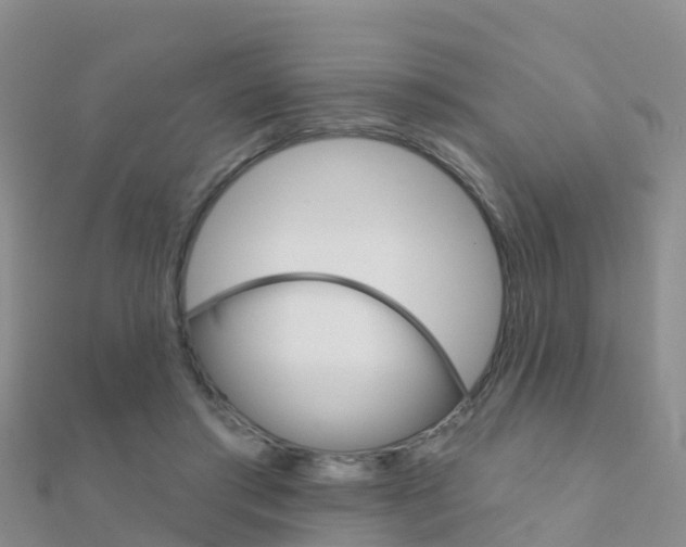 X0000112430405200908141116