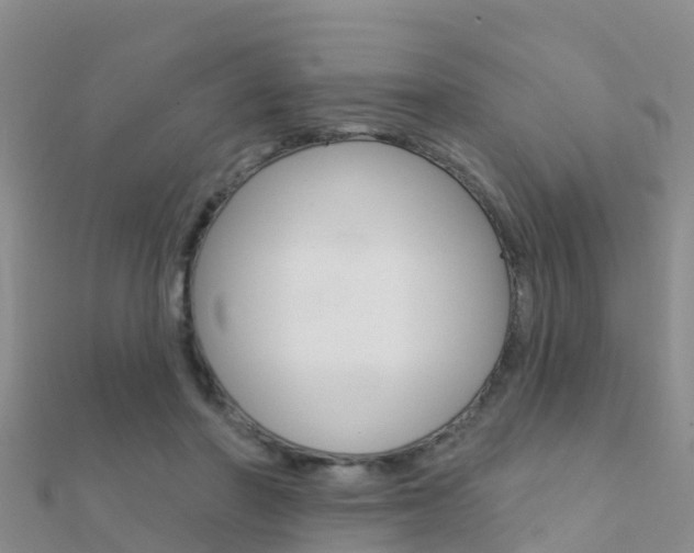 X0000112430406200908141116