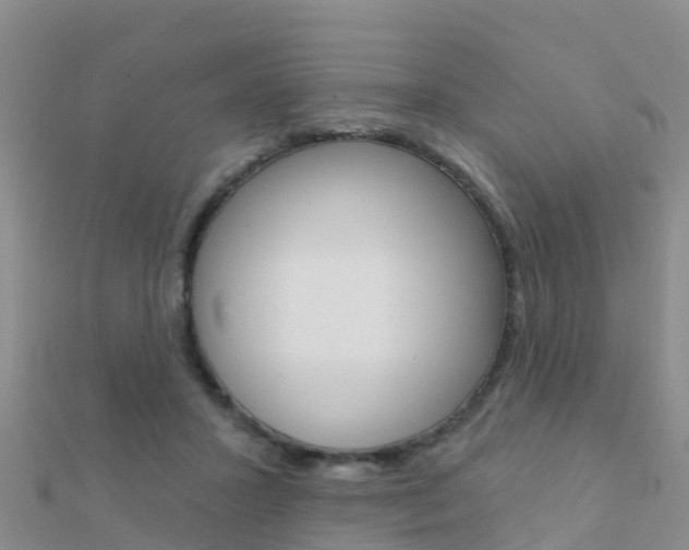 X0000112430407200908141116