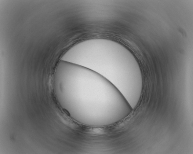 X0000112430409200908141116