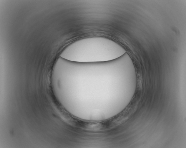 X0000112430410200908141116