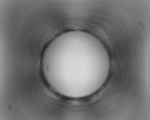 X0000112430412200908141116