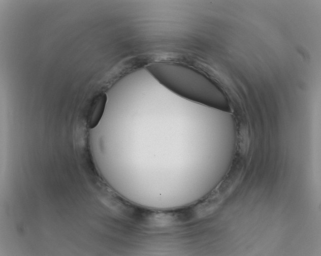 X0000112430413200908141116