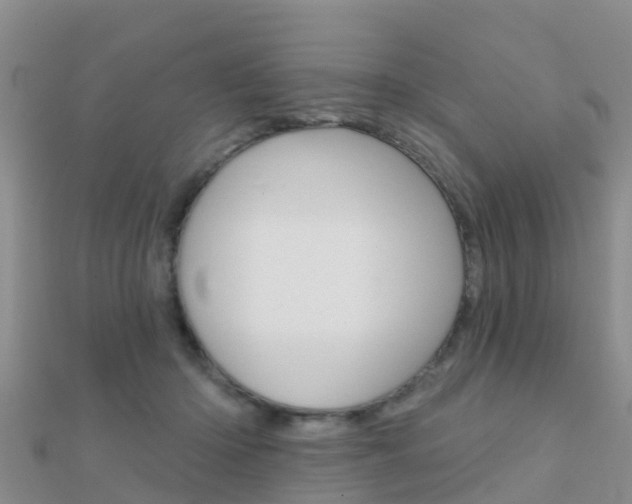 X0000112430414200908141116