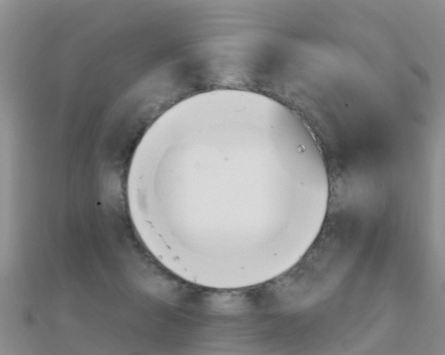 X0000112430415200908141116