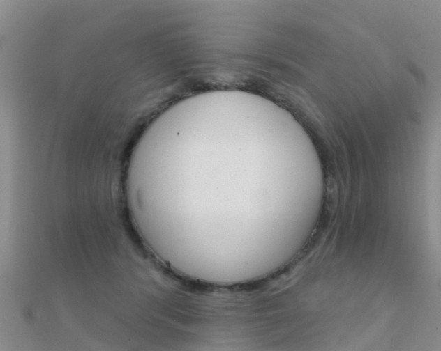 X0000112430416200908141116