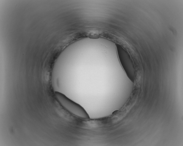 X0000112430417200908141116