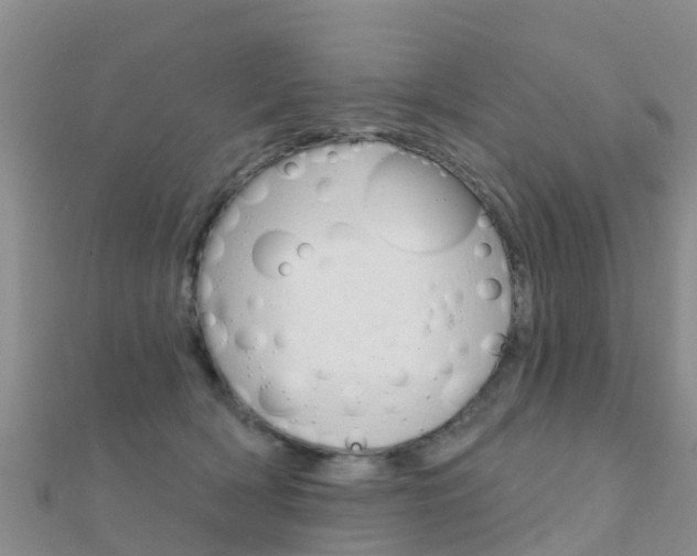 X0000112430418200908141116