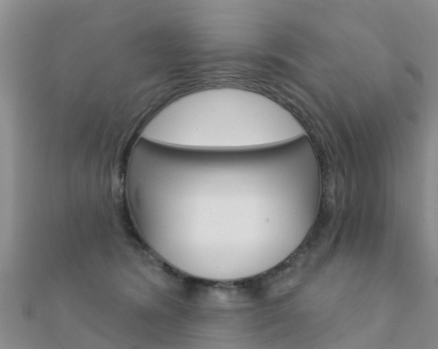 X0000112430420200908141116