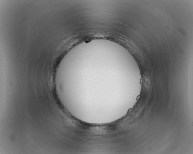X0000112430422200908141115