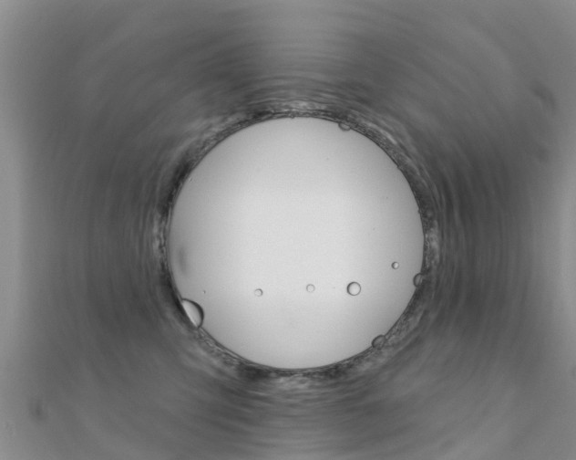 X0000112430423200908141115