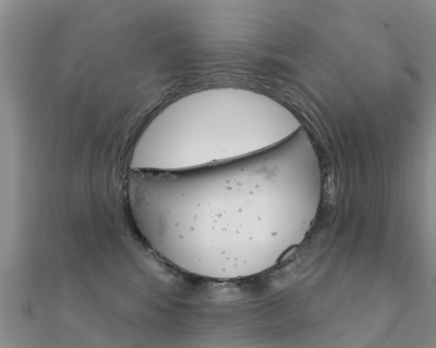 X0000112430424200908141115