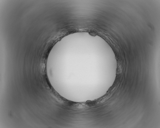 X0000112430427200908141115