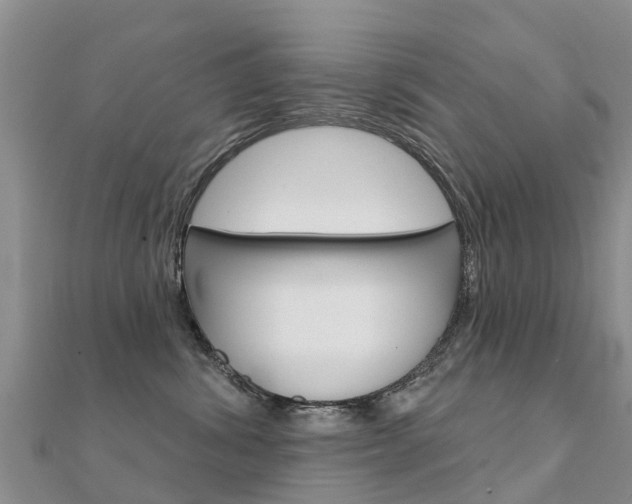 X0000112430428200908141115