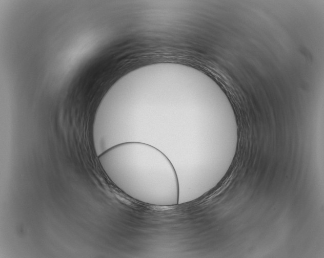 X0000112430429200908141115