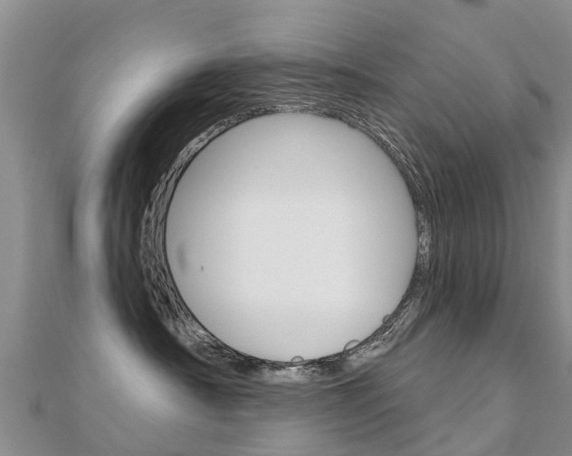 X0000112430430200908141115