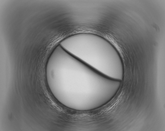 X0000112430433200908141115