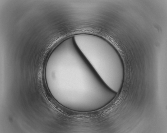 X0000112430434200908141115